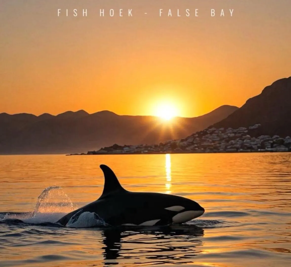 Executive Boulders Beach Suite With Ocean Views Simonʼs Town Afrique du Sud
