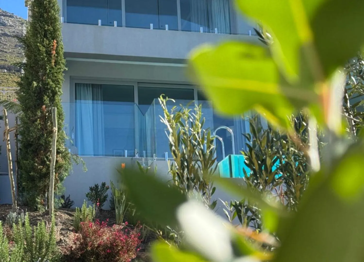 Couette-café Executive Boulders Beach Suite With Ocean Views Simonʼs Town Afrique du Sud