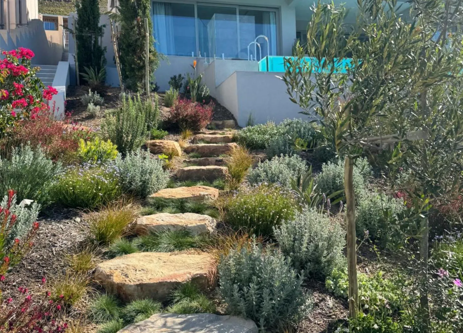 Couette-café Executive Boulders Beach Suite With Ocean Views Simonʼs Town