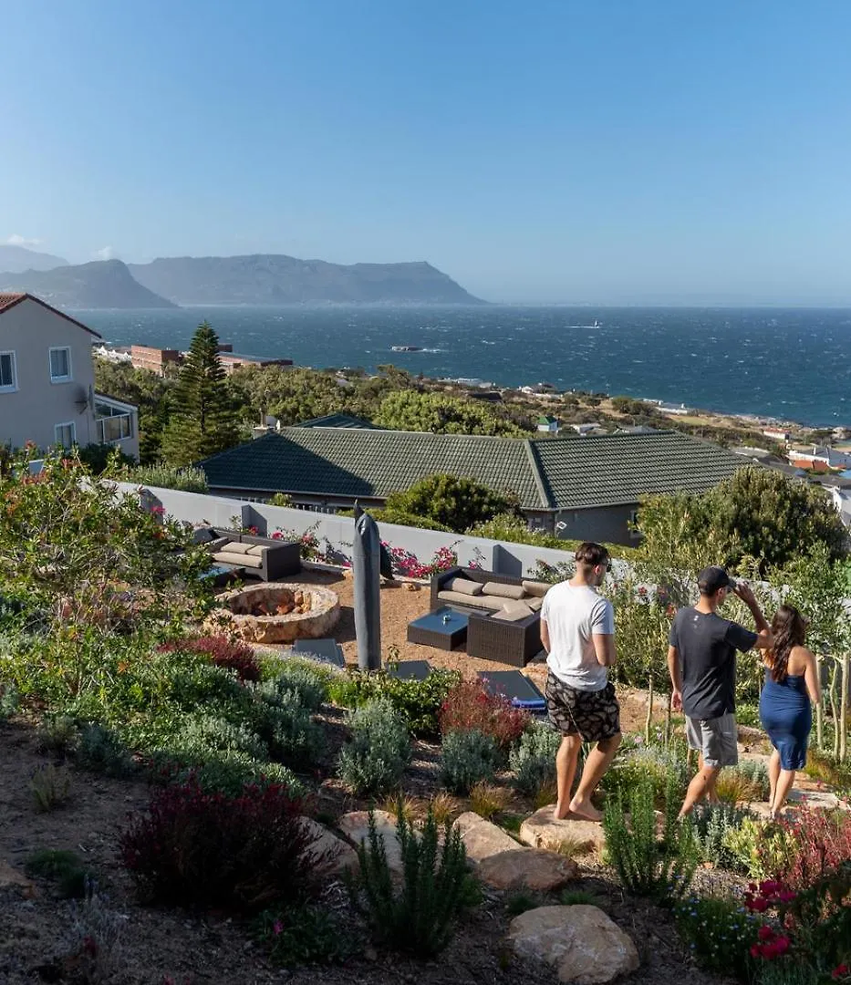 Executive Boulders Beach Suite With Ocean Views Simonʼs Town Couette-café