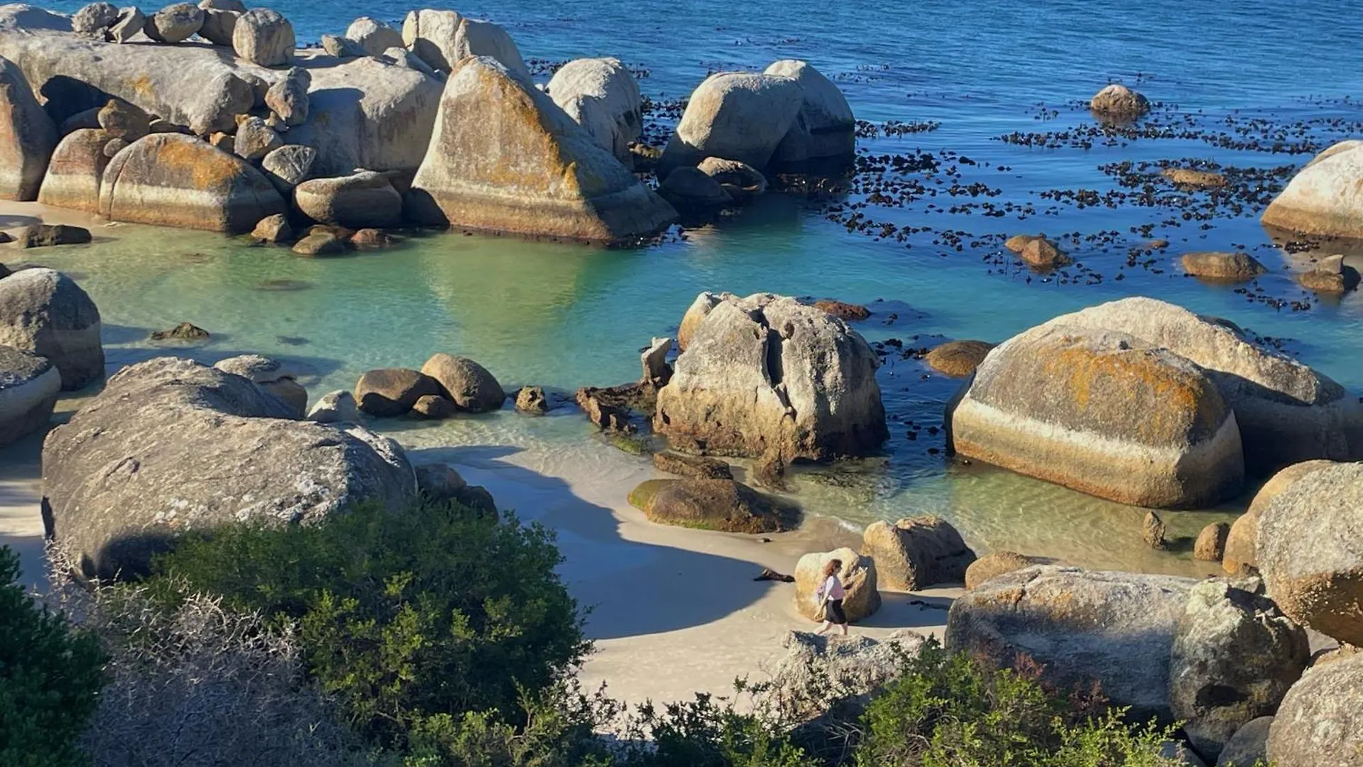 Executive Boulders Beach Suite With Ocean Views Simonʼs Town