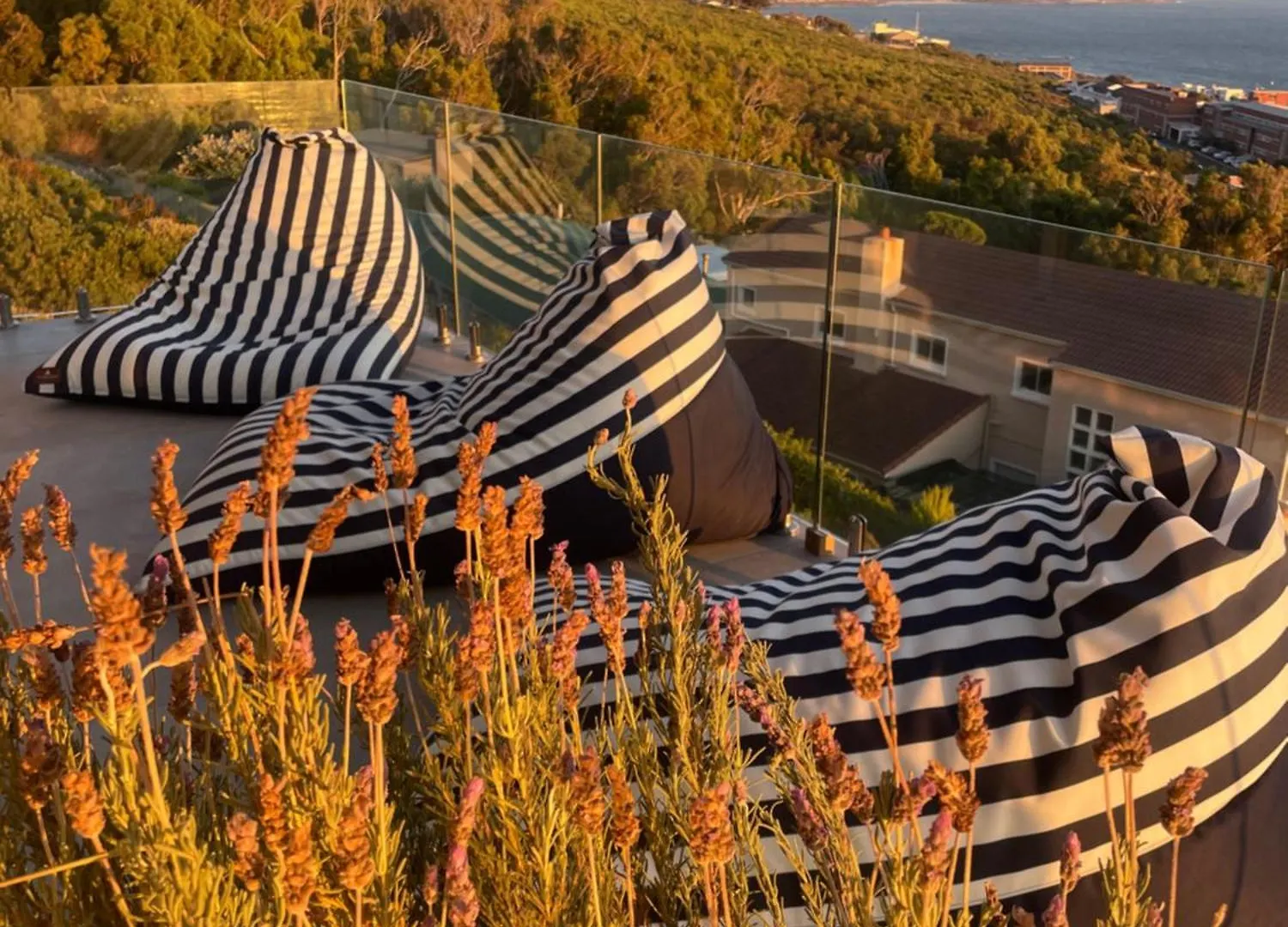 Executive Boulders Beach Suite With Ocean Views Simonʼs Town 0*,